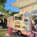 피키래빗 이미지