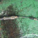 대도카센타 이미지