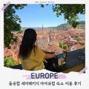 유럽산책 | 프라하 비엔나 부다페스트 동유럽 세미패키지 마이유럽 숙소 후기