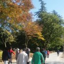 가을여행 이미지