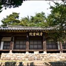 청성 Daum카페