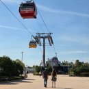 토이스타(TOY STAR) | [올랜도] 올랜도 디즈니월드 파크호퍼 후기 part.2 (애니멀킹덤 &amp; 할리우드스튜디오 &amp; 매직킹덤)