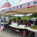 포항 축제 가볼만한곳 장기 산딸기 축제 후기🍓 시식 체험 직거래장터까지 알차요