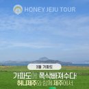 제주다정여행사 이미지