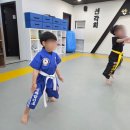 저희 아이는 보람동합기도체육관 &lt;신화합기도&gt;에서 즐겁고 안전하게 운동을 배우고 있어요 !