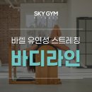 스카이짐 피트니스 괴정점 이미지