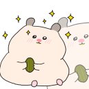매곡365약국 이미지