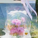 달콤더하기