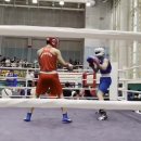 광주화랑권투 이미지