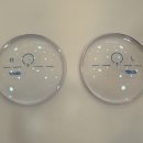 빠리안경원 이미지