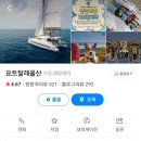 주식회사 요트탈래 이미지