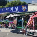 비향피싱