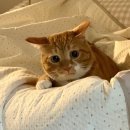 뮬라웨어 - 이천시 프리미엄아울렛로 177-74 | 뮬라웨어