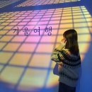 2022-01-0555 | 12월, 부산가볼만한곳 :: 서면미술관 《겨울여행》 전시회 재방문 후기 (+크리스마스 야간개장) 🎄