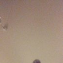 파워아지트 이미지