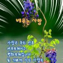 따뜻한 말 한 마디 이미지