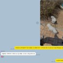 휘게 펫케어 이미지