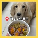 사모푸드(SAMO FOOD) | 강아지 수제간식 추천 | 밥꾸에 나오는 사모푸드 후기