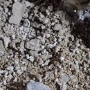 라성빌라 이미지