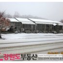대지 이미지