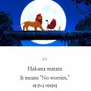 하쿠나 마타타 이미지