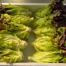 부여축산농협본점 이미지