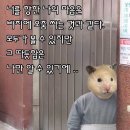 리시트스탠다드
