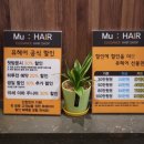뮤 미용실 이미지