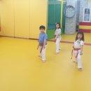 강림태권도장 이미지