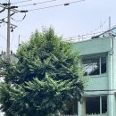 카페마블 - 창원시 성산구 용지로245번길 31 | 카페마블