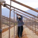 서원농장 이미지