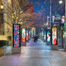 강남-284 이미지