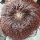 서나헤어+ | [경남진주]초전동 서나헤어 추천/ 얇고 힘없는 머리 볼륨살린 보브컷 후기