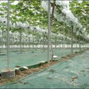 윤씨농장 이미지