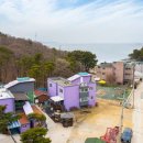 시밀레펜션 이미지