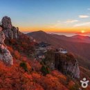 산 카카오 검색결과