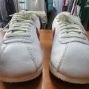 롯데명품세탁 이미지