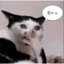 두근동물병원 이미지