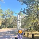 한라산둘레길 동백길 | 느린아이도 한라산 둘레길 종주, 할 수 있어요! (part9. 동백길_day1)