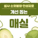 매실 , 매실액 매실차 매실주 매실청 이미지