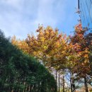 파라핀해독샵 | 심란곤란🍂