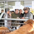 보령한우 이미지