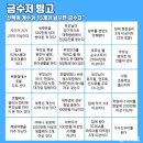 빙고