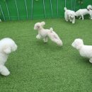 제제네멍치원(성내점) 이미지