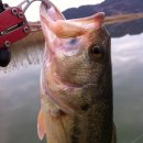 스텔스모텔 이미지