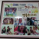 명송오리 Daum카페