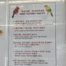 앵무새카페리프패럿분당