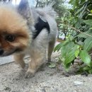 관저종합동물병원 이미지