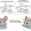 위너커뮤니케이션즈 노벨사이언스