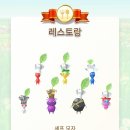 2025년 2월 2째주, 그 날들의 기록(점핑, 다이어트, 희귀 데코 피크민, SM TOWN 앨범깡 폭망)